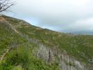 photo thumbnail #12