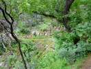 photo thumbnail #14