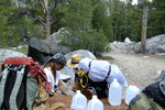 photo thumbnail #1