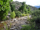 photo thumbnail #10