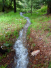 photo thumbnail #14