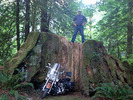 photo thumbnail #9