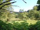 photo thumbnail #11