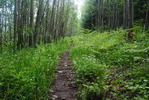 photo thumbnail #8