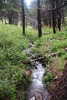 photo thumbnail #10