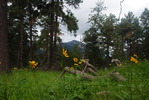photo thumbnail #12