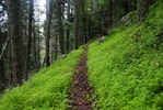 photo thumbnail #13