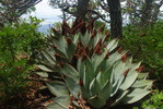 photo thumbnail #14