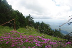 photo thumbnail #15
