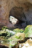 photo thumbnail #15