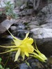 photo thumbnail #10