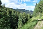 photo thumbnail #5