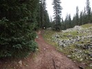 photo thumbnail #8