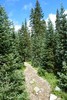 photo thumbnail #15