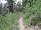 photo thumbnail #9