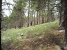 photo thumbnail #4