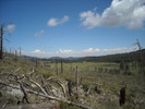 photo thumbnail #12