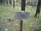 photo thumbnail #13