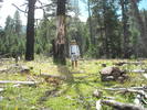 photo thumbnail #14