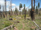 photo thumbnail #15
