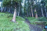 photo thumbnail #6
