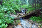 photo thumbnail #4