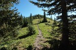 photo thumbnail #8