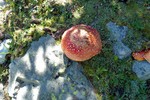 photo thumbnail #10