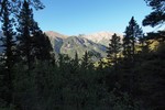 photo thumbnail #1