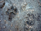 photo thumbnail #14