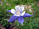 photo thumbnail #13