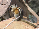 photo thumbnail #15
