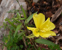 photo thumbnail #14