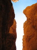photo thumbnail #12
