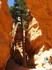photo thumbnail #15
