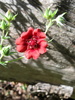 photo thumbnail #10