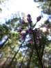 photo thumbnail #14