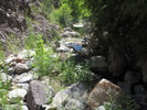 photo thumbnail #5