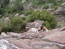 photo thumbnail #7