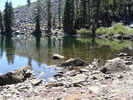 photo thumbnail #8