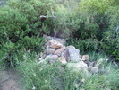 photo thumbnail #2