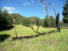 photo thumbnail #7