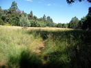 photo thumbnail #12