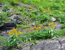 photo thumbnail #9