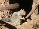 photo thumbnail #10