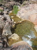 photo thumbnail #15