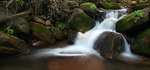 photo thumbnail #1
