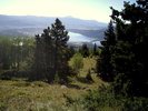photo thumbnail #3