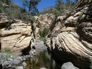 photo thumbnail #11