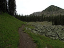 photo thumbnail #2